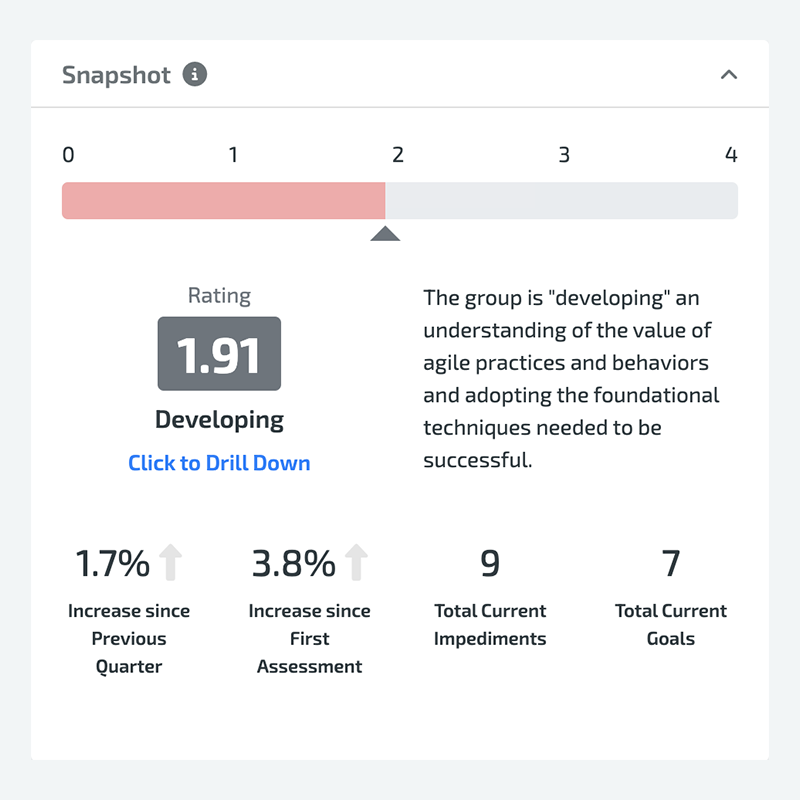 Sample Assessment Strategy Snapshot